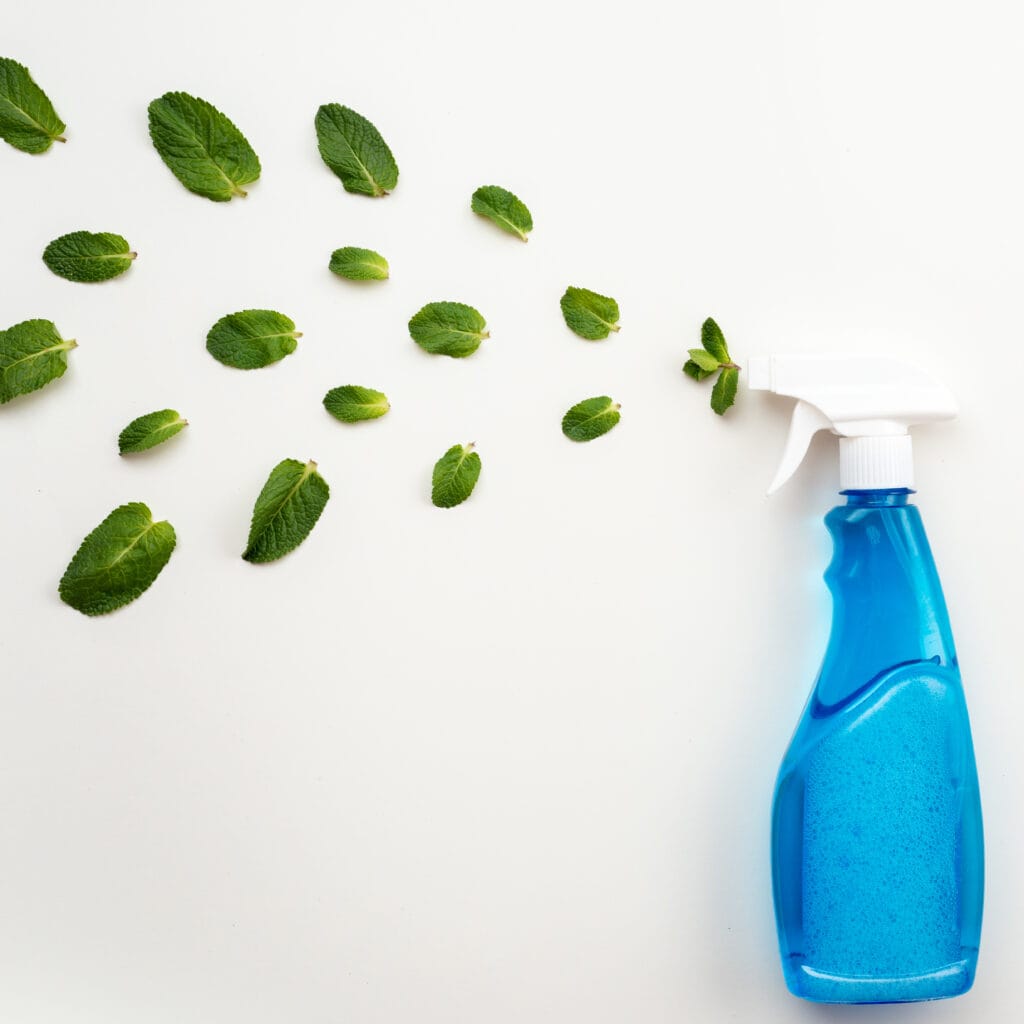Mint leaves scattered with a blue spray bottle on a white background.